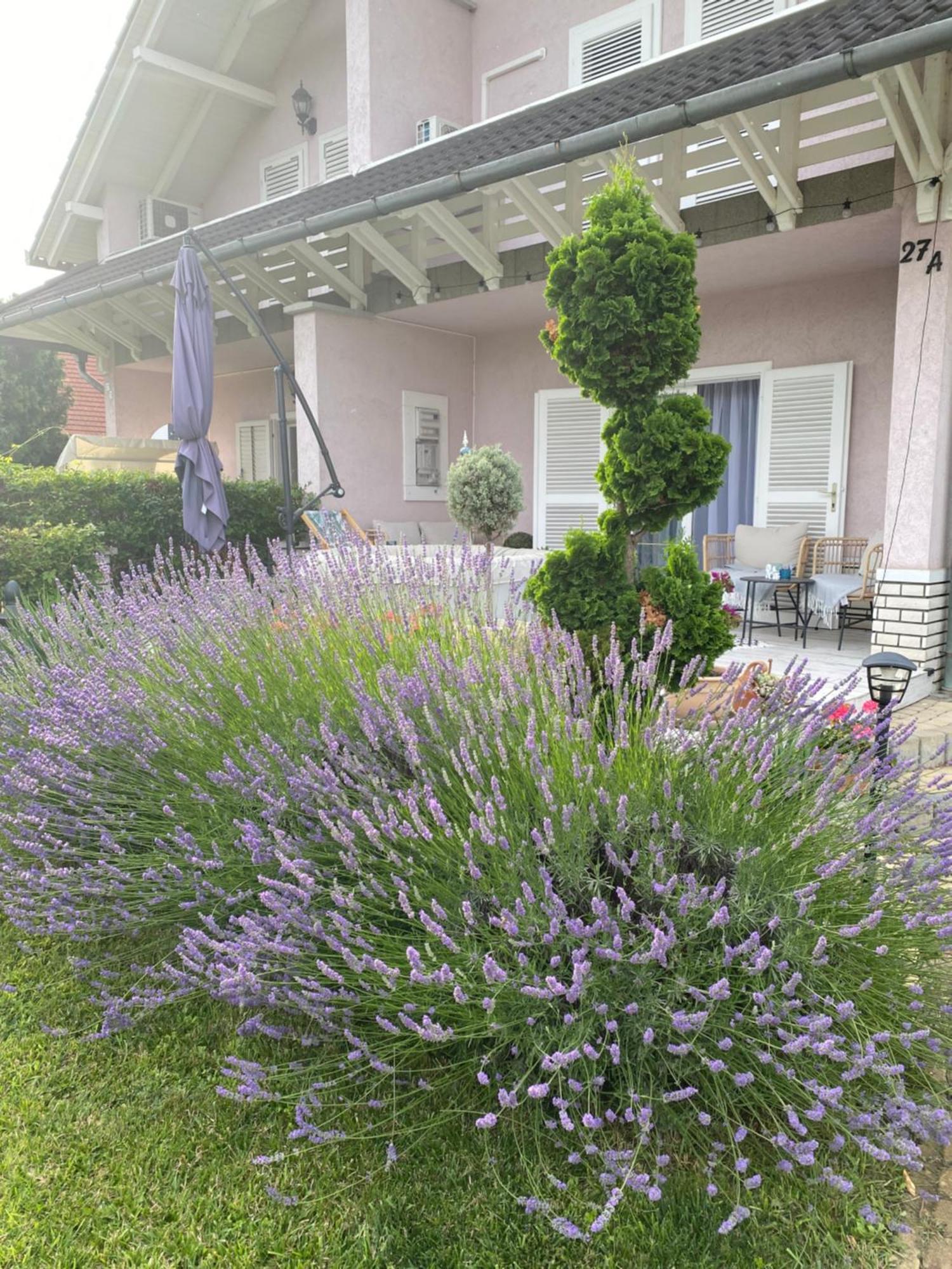 זמראדי Villa Scamard מראה חיצוני תמונה